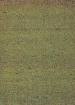 1977 Scanlens VFL #81 Stewart Gull Back